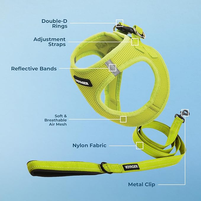 Best Pet Supplies Voyager Step-in Air All Weather Mesh Harness and Reflective Dog 5 ft Leash Combo with Neoprene Handle, for Small, Medium and Large Breed Puppies - Set (Lime Green), XXS