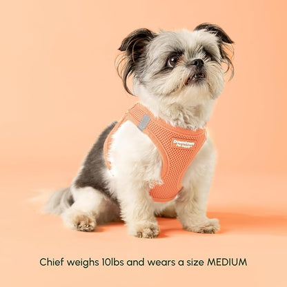 Downtown Pet Supply Step in Dog Harness for Large Dogs - Adjustable, Escape Proof Dog Harness with Reflective Trim - All-Weather, Fast-Drying Padded Mesh Fabric - Tangerine, Medium