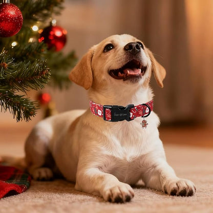 Christmas Dog Collar, Unique Style Paws Santa Claus Dog Collar for Christmas Comfortable Red Pet Collar with Lightweight Plastic Buckle for Holiday, Fancy Dog Gift