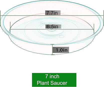 6 Pack of 7 inch Plant Saucer, Heavy Duty Plastic Plant Water Tray 7 inch Round, Flower Plant Saucers for Indoors No Holes, Plant Dishes Saucer for Planter 7"/8" (7", Blue)