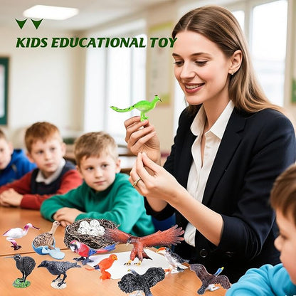 SIENON 23Pcs Birds Toys Playset, Assorted Wildlife Bird Figures with Nest, Raven, Kiwi, Ostrich, Macaw, Golden Eagle for Kids Educational Birthday Cake Décor Garden Accessories School Project