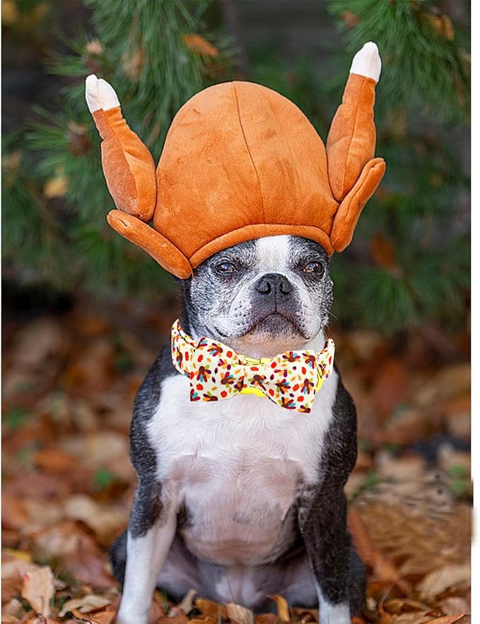 Thanksgiving Dog Collar, Turkey Dogs Collars Bow Tie Pet Collar Adjustable Pet Collars Premium Metal Buckle Autumn Leaf Necklace for X-Small Dogs