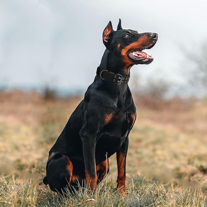 Tactical Dog Collar Military Adjustable Dog Collars Soft Nylon Training Collar with Patch Heavy Duty Metal Buckle Collars for Medium Large Dogs (Black-1, XL)
