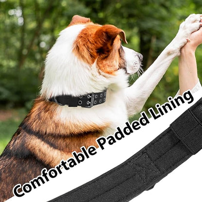 Tactical Dog Collar Military Adjustable Dog Collars Soft Nylon Training Collar with Patch Heavy Duty Metal Buckle Collars for Medium Large Dogs (Violet, L)