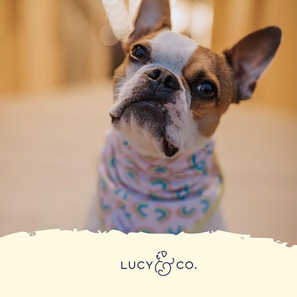 Lucy & Co. Making Rainbows, Cute Reversible Dog Harness Walking Halter - Best Designer Pet Harnesses for XS - XL Dogs - Padded Adjustable Vest for Easy Walking (Large)