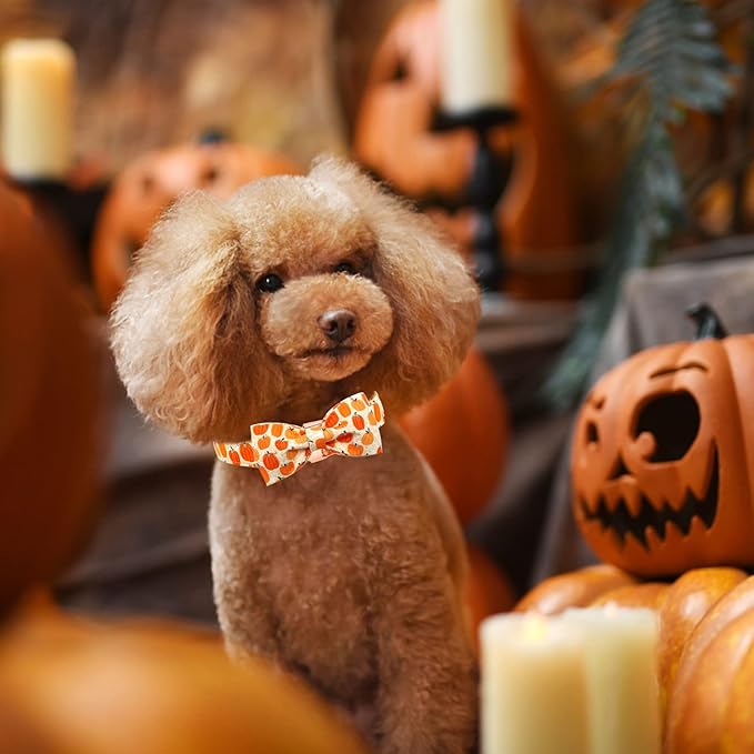 Dog Collar - Halloween Pumpkin Bowtie Dog Collars Gift Soft Bow Collar Pet Adjustable Metal Buckle Pet Collar for X-Large Dogs