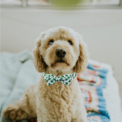 MR. CHUBBYFACE St.Patrick's Day Dog Collar Green Clovers Adjustable Dog Collar Bow Tie for Small Medium Large Dogs