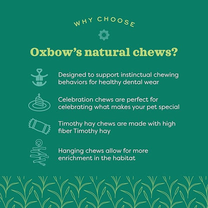 Oxbow Enriched Life Natural Dangly Party Pack, Rabbit Toys, Guinea Pig Toys, Enrichment for Bunny, Guinea Pig, Hamster Stuff, Rabbit Enrichment, Chinchilla, Rat, Chinchilla Cage Accessories