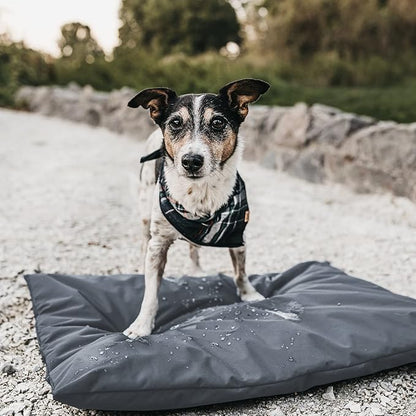 Dog Bed Cover for 44" L 32" W 4" H - 600D Oxford Waterproof with Zipper and Carry Handle - Washable, Cover Only (Gray)