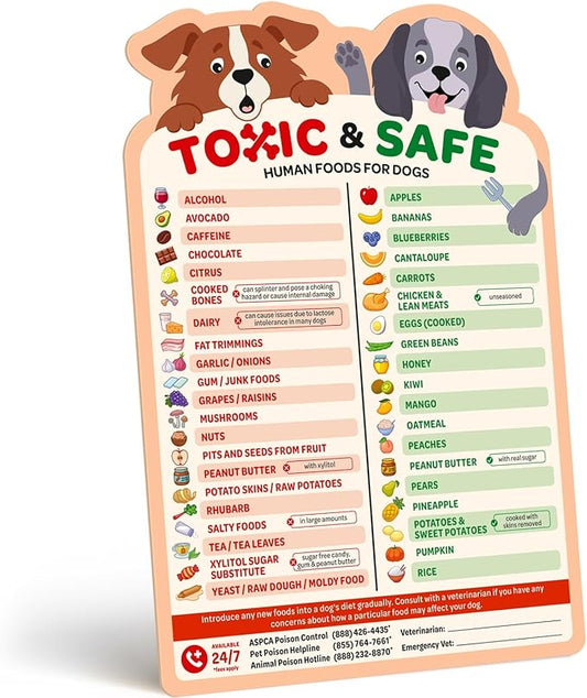 EBPP Magnetic List of Foods Dogs Can Eat - Dog Feeding Chart Fridge Magnet - Foods Dogs Shouldnt Eat Chart Decorative Magnets - Dog Safety Emergency Numbers Magnet - New Puppy Essentials 9.75" x 6.75"