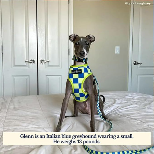 Lucy & Co. Lime Green with Blue Checker Smiley Faces, Cute Reversible Dog Harness Walking Halter - Best Designer Pet Harnesses for XS - XL Dogs - Padded Adjustable Vest for Easy Walking (X-Small)