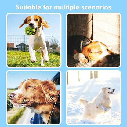 BONSO 2-in-1 GPS Tracker for Dogs: Smart Collar with Real-Time Location, No Monthly Fee, Unlimited Range (iOS Only) GPS Tracker Dog Collar- Ideal for Small, Medium Large Dogs(Tracker Included)