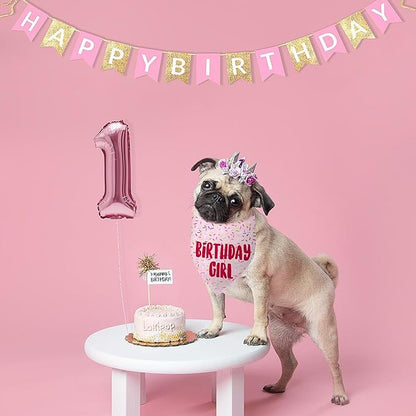 Birthday Girl Dog Bandanas 1 Pack, Pink Dog Scarfs for Girl, HBD Pet Scarves for Birthday Bandanas for Small Medium Dogs (Pink, Small)