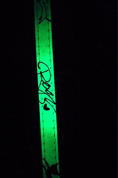 Rogz Glow in the Dark Reflective Cat Collar with Breakaway Clip and Removable Bell, fully adjustable to fit most breeds, Jumping Black Cat Design