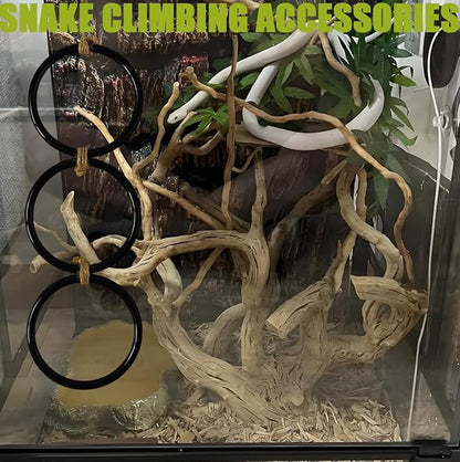 Snake Enrichment Toys Ball,Jungle Gym Ball and Enrichment Rings for Small Ball Python Corn Snakes,Reptiles Climbing Toy,Snake Exploring&Climbing Accessories