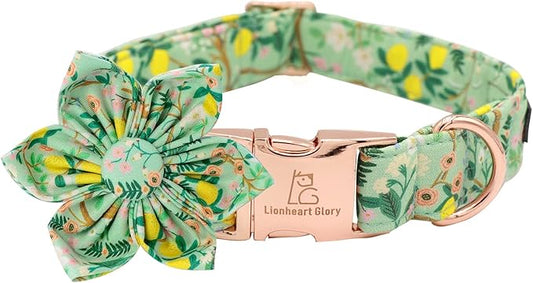 Lionheart Glory Dog Collar, Dog Collar with Flower, Cute Lemon Floral Pattern Pet Collar Adjustable Dog Collar for Large Dogs