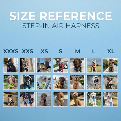 Best Pet Supplies Voyager Step-in Air Harness - All Weather Mesh, Reflective, No Pull Harness for Dogs, Cats - Secure with Hook & Loop Fastener, Buckle, Double D-Rings - Gray 2-Tone, XL