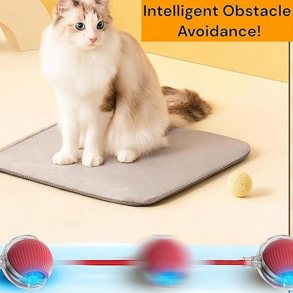 Interactive Electric Automatic Rolling Moving Rechargeable Self Play Stimulation Toy,Smart Pet Chase with Speedy Tail Rope for Bored Indoor Cats (Blue)