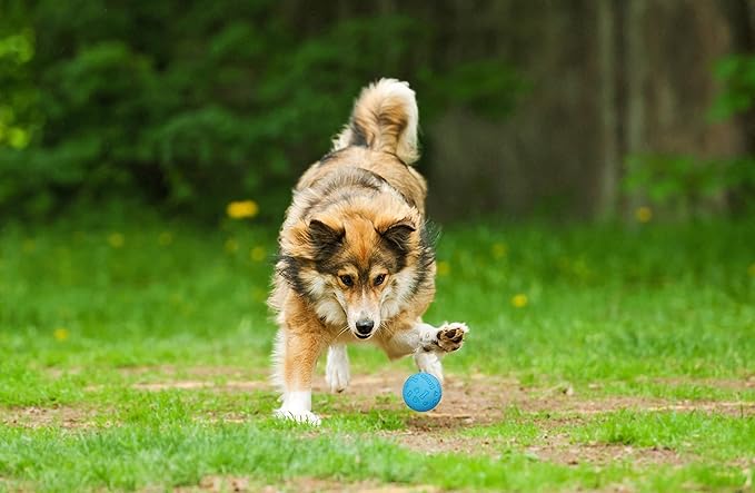 Snug Rubber Dog Balls for Small and Medium Dogs - Tennis Ball Size - Virtually Indestructible (3 Pack - Blue)
