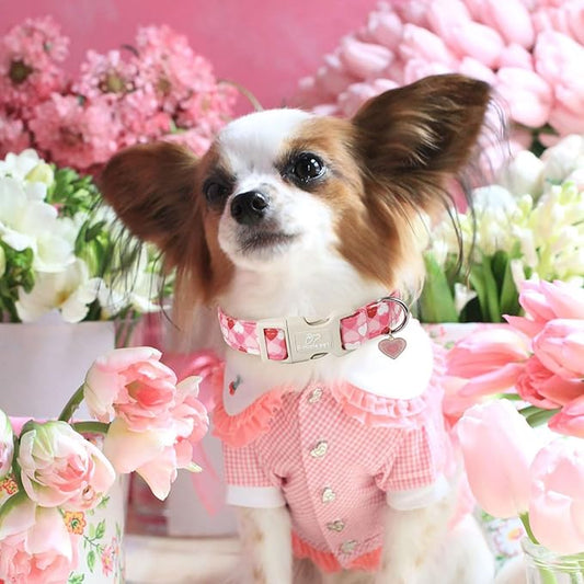 Valentines Dog Collar for Small Dogs - Cute Valentine Pink Hearts Girl Dog Collars, Adjustable Girly Puppy Collar with Quick Release Buckle for Female Dogs XS