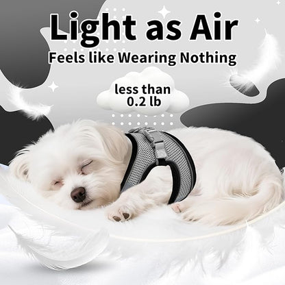 AIITLE Step in Dog Harness and Leash Set - No Pull Escape Proof Vest Harnesses with Soft Mesh and Reflective Bands, Adjustable Pet Outdoor Harnesses for Small and Medium Dogs Black M