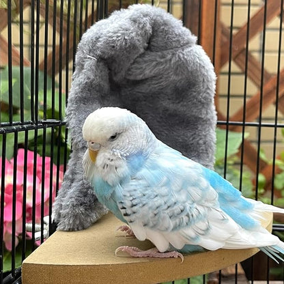 Comfort Corner Fleece Bird Blanket Parrot Cage Snuggle Hut Warm Bird Nest House Bed Hanging Hammock Toy for Parakeet Cockatiel Pigeon Small Animals Shelter Plush Bedding(Size L)