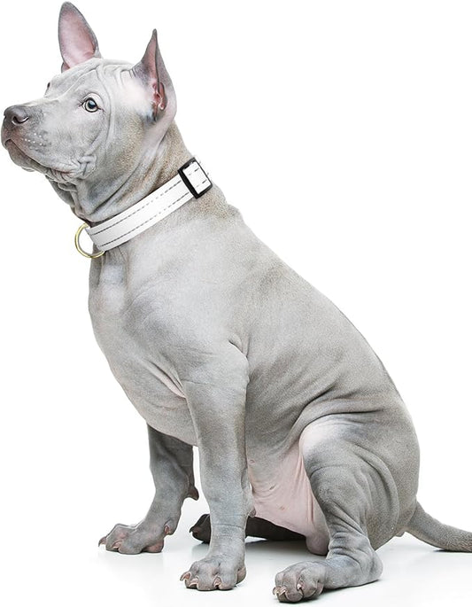 Reflective Dog Collar for Medium Dogs, Cute Adjustable Heavy-Duty Nylon Puppy Collars for Boy and Girl Female, Soft Pet Accessories with Quick Release Buckle, Neck 14-20", White