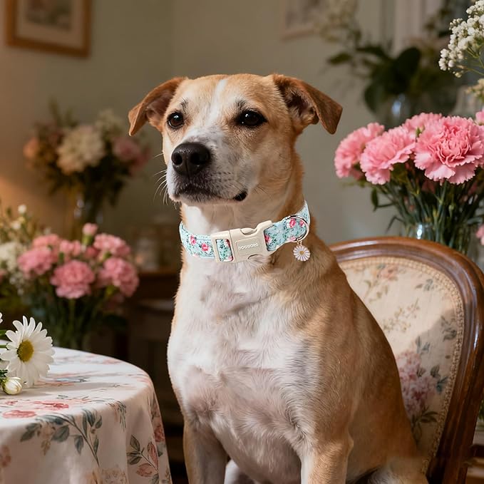 DOGWONG Floral Dog Collar, Cute Adjustable Flower Collar, Girl Female Dog Collar with Strong Plastic Buckle for Small Medium Large Dogs,XL
