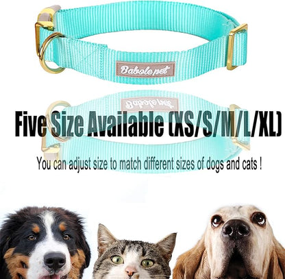 Nylon Dog Collar - Adjustable Lake Blue Soft Webbing Dog Collars for Small Medium Large Dogs Boy Girl Puppy Collar with Safety Metal Buckle M