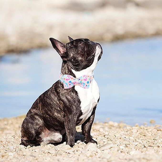 Lionheart glory Dog Bow Collar Sea Animals Print Pink Dog Collar for X-Small Dogs,Female Male Dog Collars with Bowtie Spring Summer Collars Soft Adjustable Pet Collar Bows