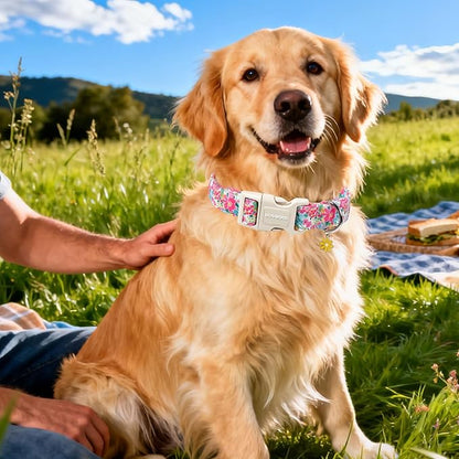 DOGWONG Spring Flower Dog Collar-Cute Floral Daisy Dog Collar, Adjustable Soft Girl Female Dog Collar for Small Dogs, XS