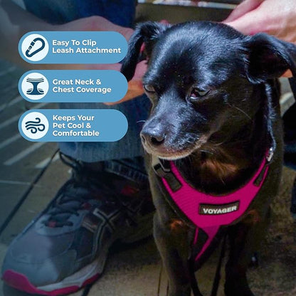 Voyager Step-in Pet Harness - All Weather Mesh, Adjustable Step in Harness for Cats and Dogs by Best Pet Supplies - Fuchsia/Black Trim, XS