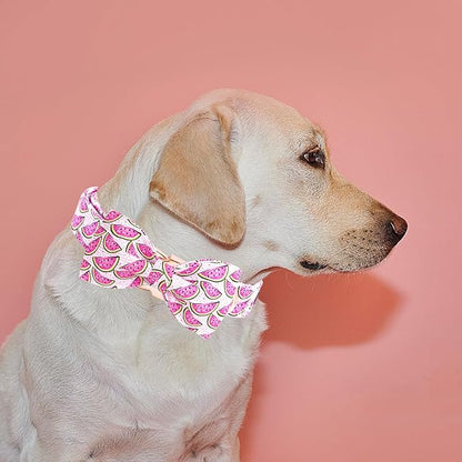 Elegant little tail Dog Collar, Watermelon Print Pet Collar Summer Dog Collar Durable Metal Buckle Dog Collars Cotton Pet Adjustable Dog Collars for Large Dogs