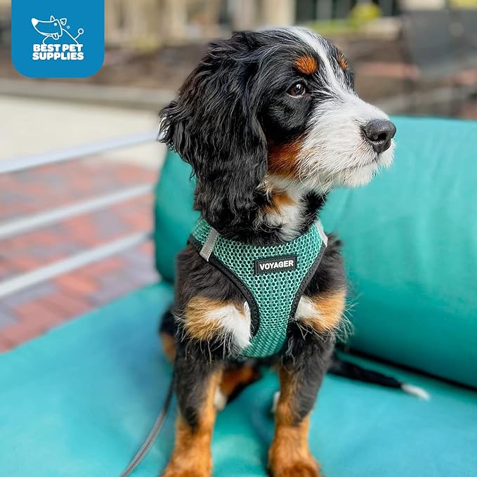 Best Pet Supplies - All Weather Mesh/Plush, Reflective, No Pull Harness for Small, Medium Dogs, Cats - Secure with Hook & Loop Fastener, Buckle, Double D-Rings - Turquoise 2-Tone, XL
