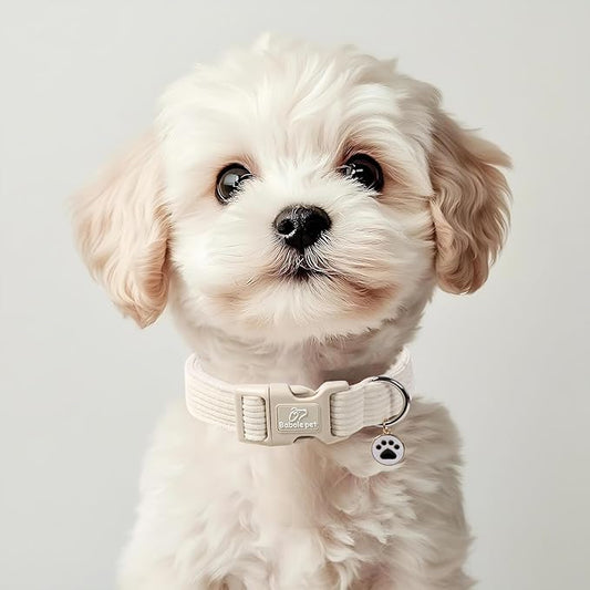 Cute Corduroy Dog Collar - White Adjustable Dog Collars for X-Large Dogs 80+lbs, Fade-Proof with Secure Snap & Little Charm, Christmas Birthday Gift, XL