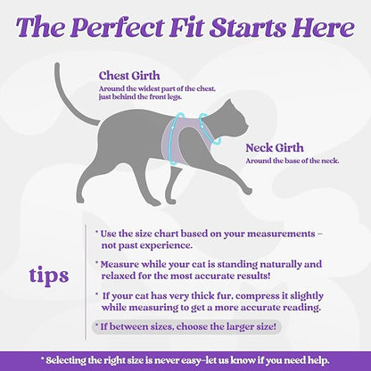 rabbitgoo Cat Harness and Leash Set for Walking Escape Proof, Adjustable Soft Kittens Vest with Reflective Strip for Cats, Comfortable Outdoor Vest, Purple, XL
