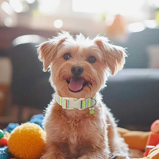 Easter Dog Collar for Small Dogs - Brightly Colored Stripe Easter Collars for Boy Girl Dogs, Adjustable Spring Holiday Pet Collars with Quick Release Buckle S