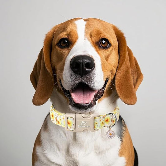 Sunflower Dog Collar, Adjustable Cute Dog Collars for Large Dogs, Lightweight Summer Fall Pet Collar with Quick-Release Buckle for Boy&Girl Dogs L