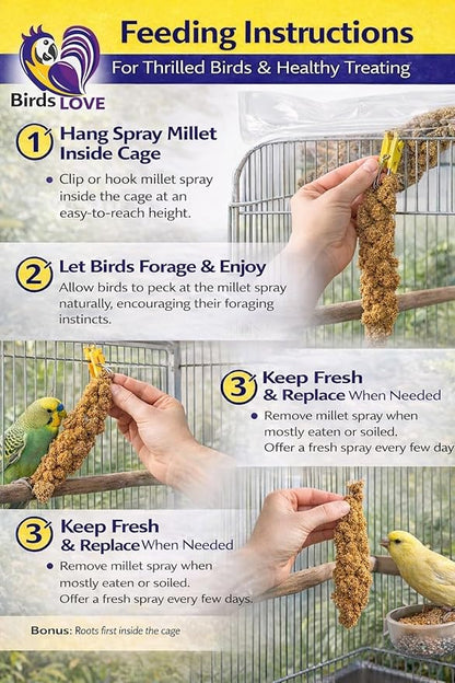 Birds LOVE Millet Tips & Tails for Birds - Parakeets, Cockatiels, Lovebirds, Finches, Budgies, Canaries, Cockatoos - Natural & Healthy Millet for Birds - Parakeet Food & Treats for All Parrots, 1lb