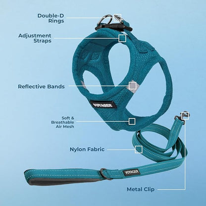 Best Pet Supplies Voyager Step-in Air All Weather Mesh Harness and Reflective Dog 5 ft Leash Combo with Neoprene Handle, for Small, Medium and Large Breed Puppies - Set (Turquoise), XL