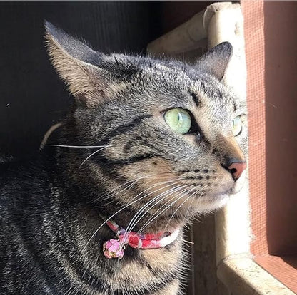 PetSoKoo Four-Leaf Clover Cat Collar with Bell Breakaway Buckle. Japanese Chirimen,Cute Kitten Collar for Girl Boy Cat