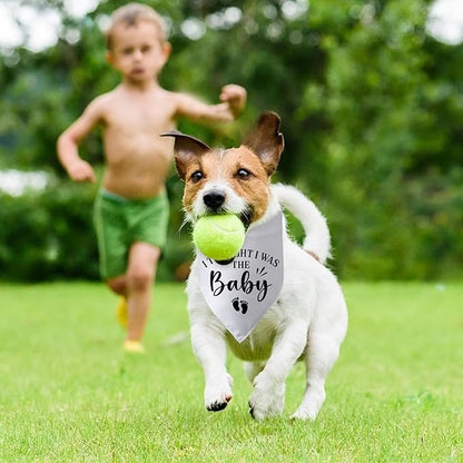 Pregnancy Announcement Dog Bandana I Thought I was The Baby Gender Reveal Dog Baby Coming Soon Announcement Photo Props for Large Medium Small Dogs