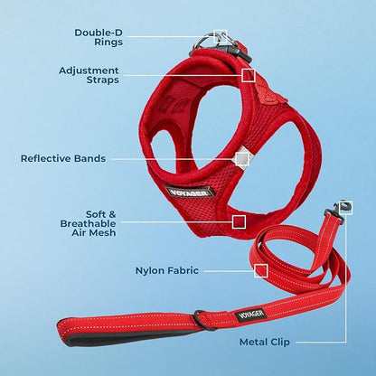 Best Pet Supplies Voyager Step-in Air All Weather Mesh Harness and Reflective Dog 5 ft Leash Combo with Neoprene Handle, for Small, Medium and Large Breed Puppies - Harness Leash Set (Red), XXS