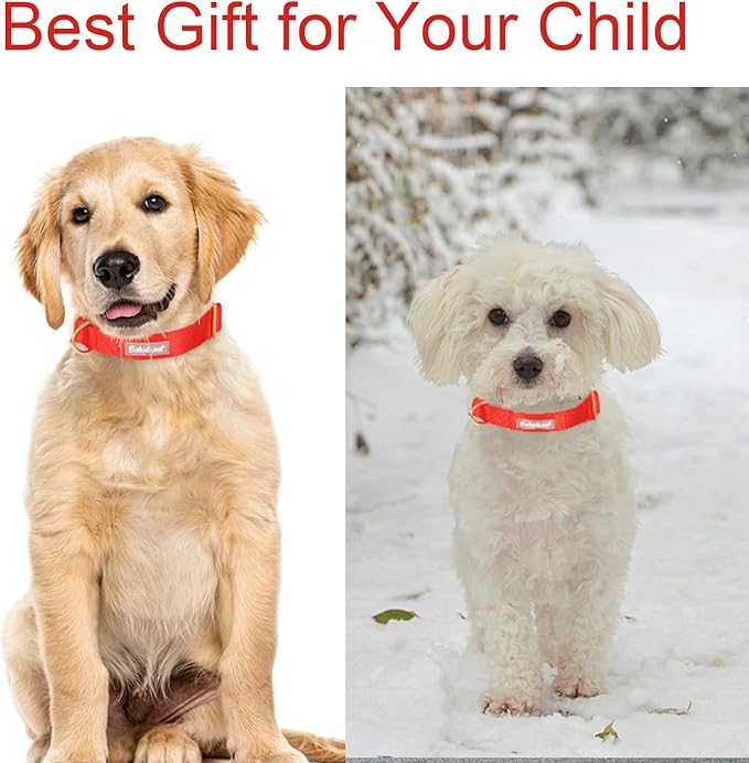 Nylon Dog Collar - Adjustable Red Soft Webbing Dog Collars for Small Medium Large Dogs Boy Girl Puppy Collar with Safety Metal Buckle M