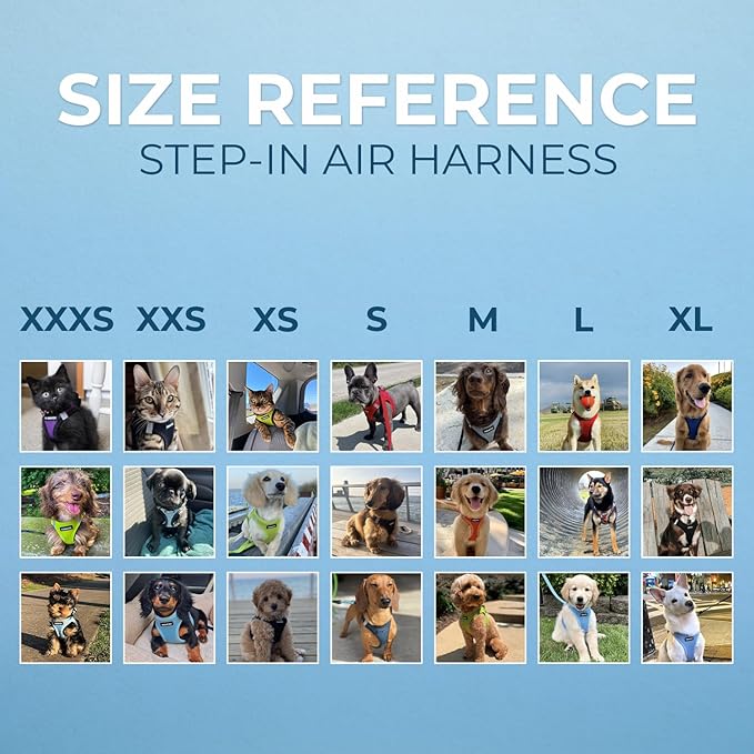 Best Pet Supplies Voyager Step-in Air All Weather Mesh Harness and Reflective Dog 5 ft Leash Combo with Neoprene Handle, for Small, Medium and Large Breed Puppies - Set (Baby Blue), XS