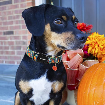 DOGWONG Fall Pumpkin Dog Collar, Fall Maple Leaf Dog Collars Adjustable Halloween Pumpkin Dog Collars for Small Medium Large Dogs L