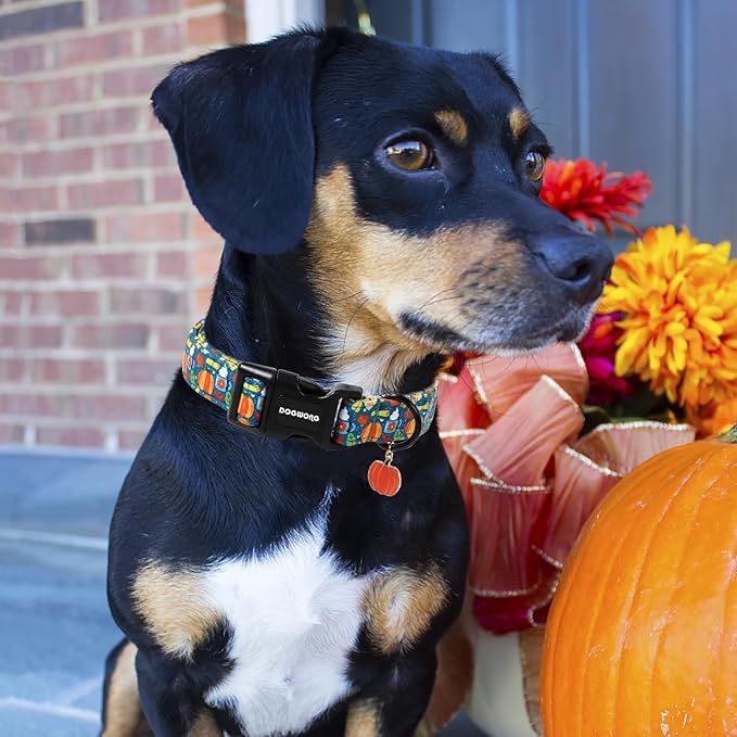 DOGWONG Fall Pumpkin Dog Collar, Fall Maple Leaf Dog Collars Adjustable Halloween Pumpkin Dog Collars for Small Medium Large Dogs XS