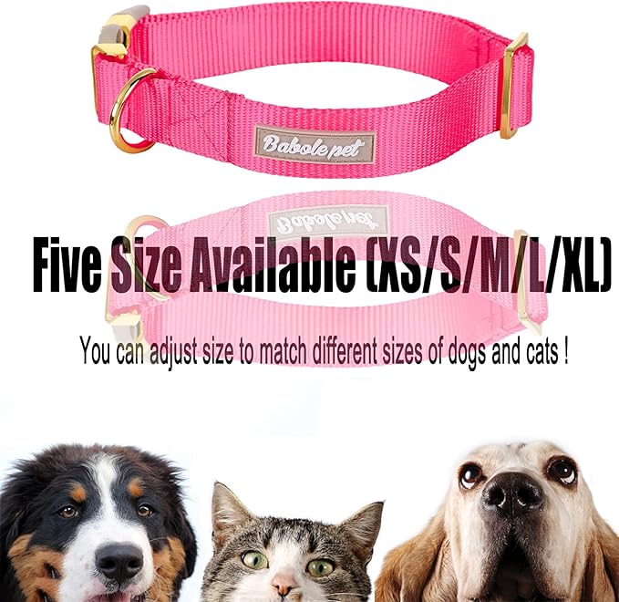 Nylon Dog Collar - Adjustable Rose Red Soft Webbing Dog Collars for Small Medium Large Dogs Boy Girl Puppy Collar with Safety Metal Buckle S