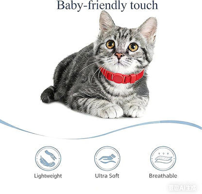 Breakaway Cat Collar with Bell, Safety Buckle Kitten Collar, Elastic Strech Quick Release, Adjustable Lightweight Collars for Girl Boy Cats, Pet Supplies, Accessories, Gifts Red