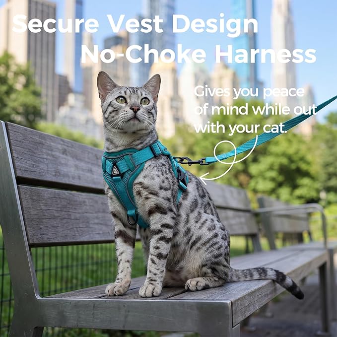 Cat Harness and Leash Set Escape Proof Tactical Medium Kitten Harness Emotional Support Cat Vest, Turquoise, M